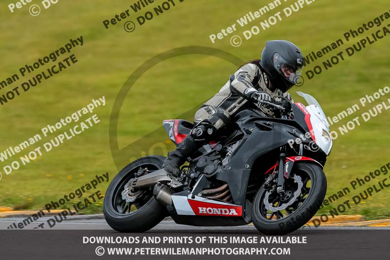 PJ Motorsport 2019;anglesey no limits trackday;anglesey photographs;anglesey trackday photographs;enduro digital images;event digital images;eventdigitalimages;no limits trackdays;peter wileman photography;racing digital images;trac mon;trackday digital images;trackday photos;ty croes